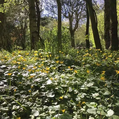 800m To The Lovely Little House Good View ヴィラ Sarup