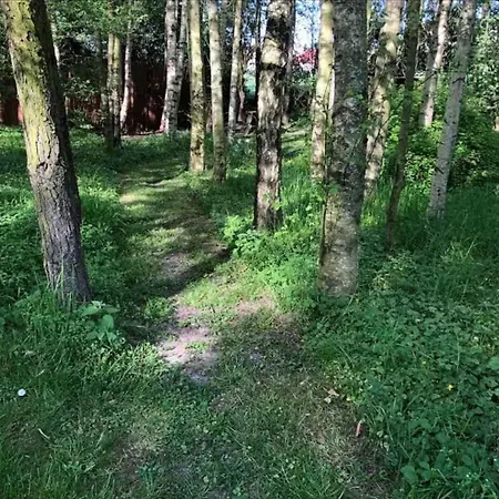 ヴィラ 800m To The Lovely Little House Good View *