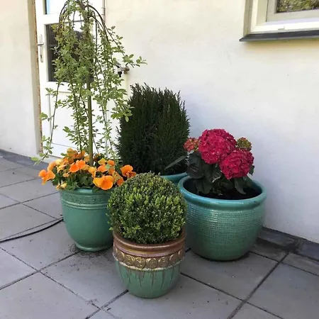 Villa 800m To The Lovely Little House Good View Sarup