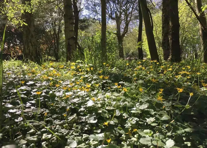 800m To The Lovely Little House Good View ヴィラ Sarup