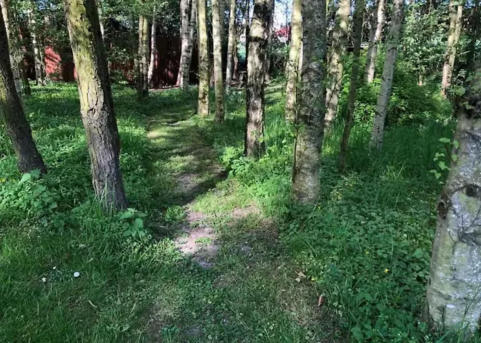 ヴィラ 800m To The Lovely Little House Good View *