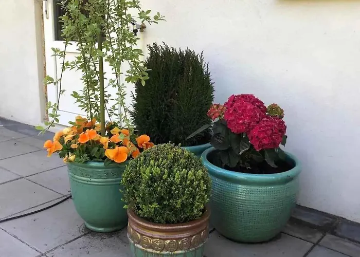 ヴィラ 800m To The Lovely Little House Good View Sarup